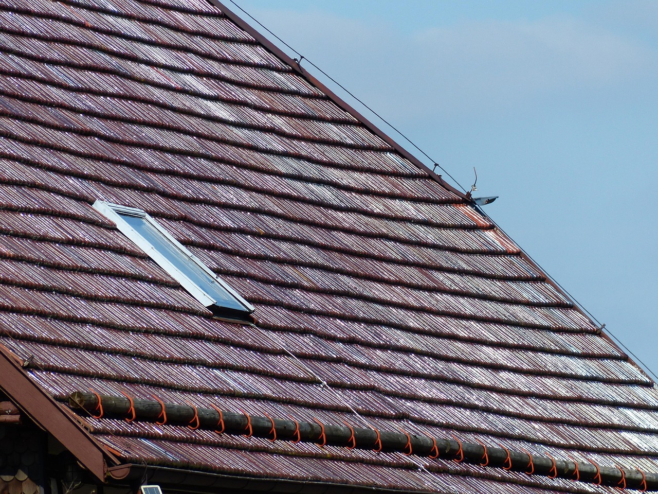 New Roof Windows Will Save You Costs